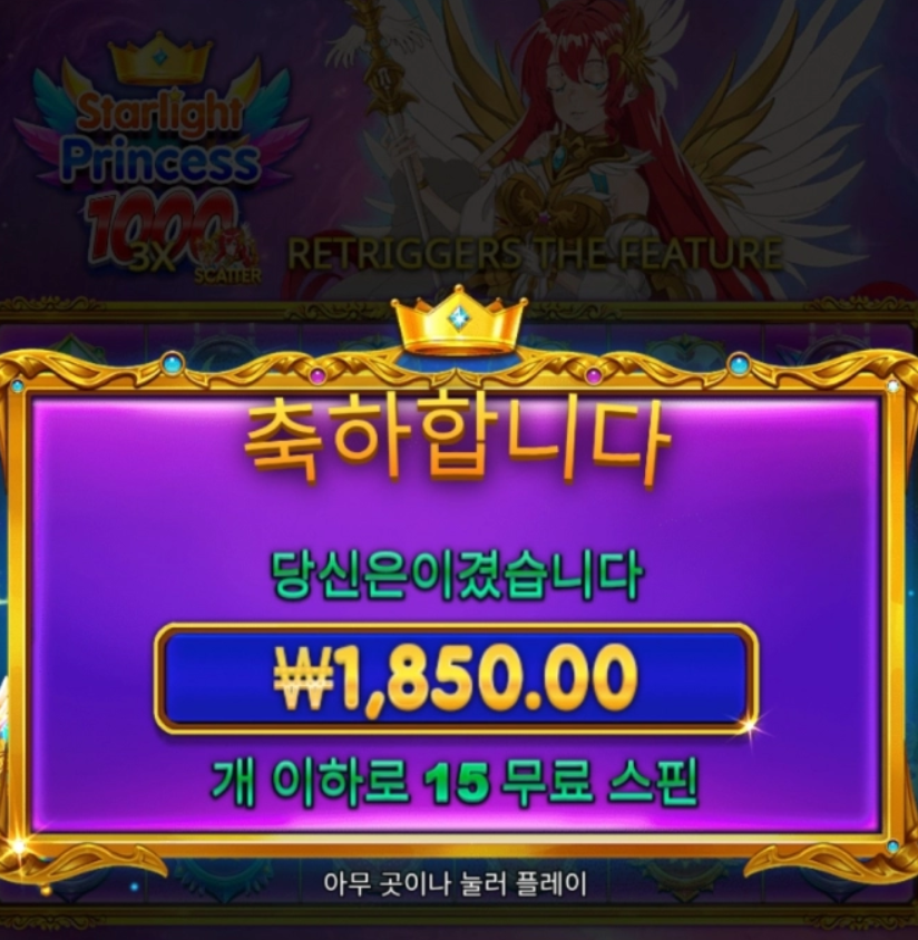 프린세스 1000 이거 뭔가요?