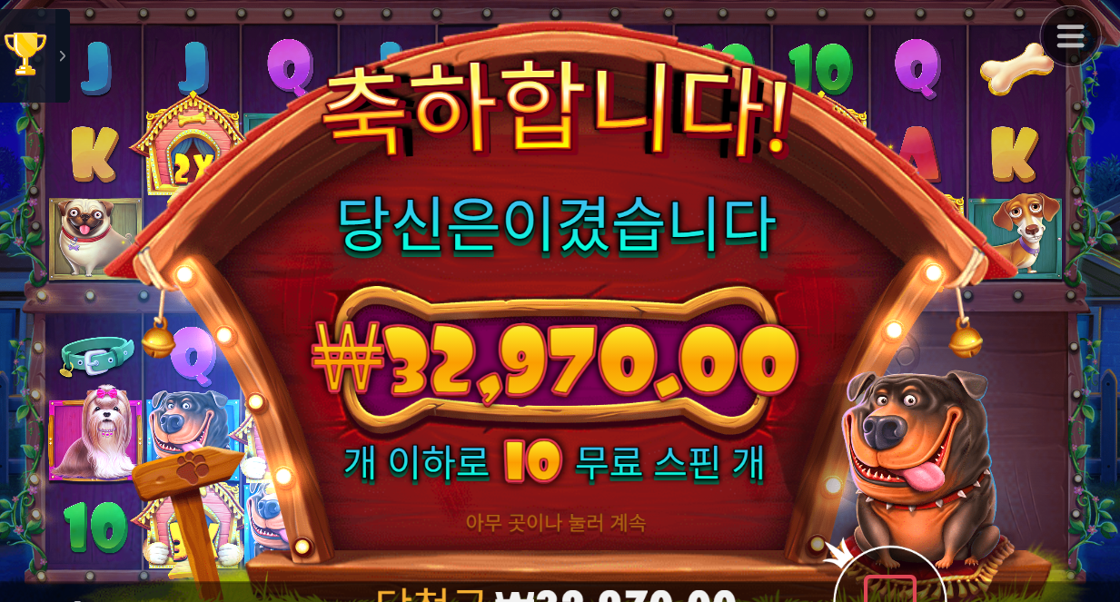 개집 멀티홀드 스캐터 하나가 안나와서 마지막칸을 못열었네여 ㅋㅋ