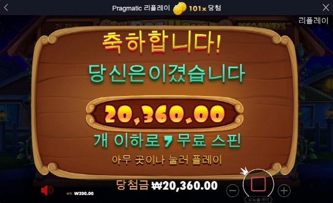 프라그마틱 도그하우스 7스핀ㅜㅜㅜㅜ