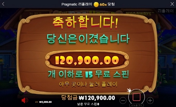 도그하우스 15스핀 명절버프 굿