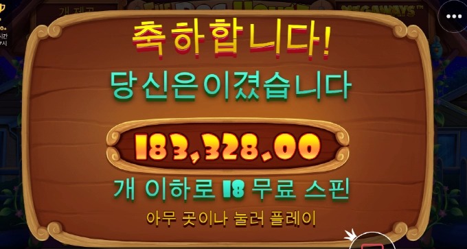 도그하우스 18스핀 개껌 좋은거 사줘야겠다