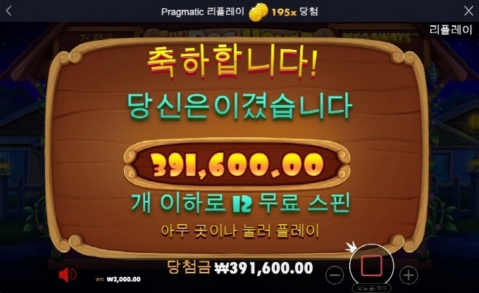 도그하우스 12스핀 약 200배 후기