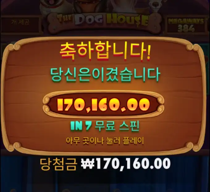 개집 빅윈
