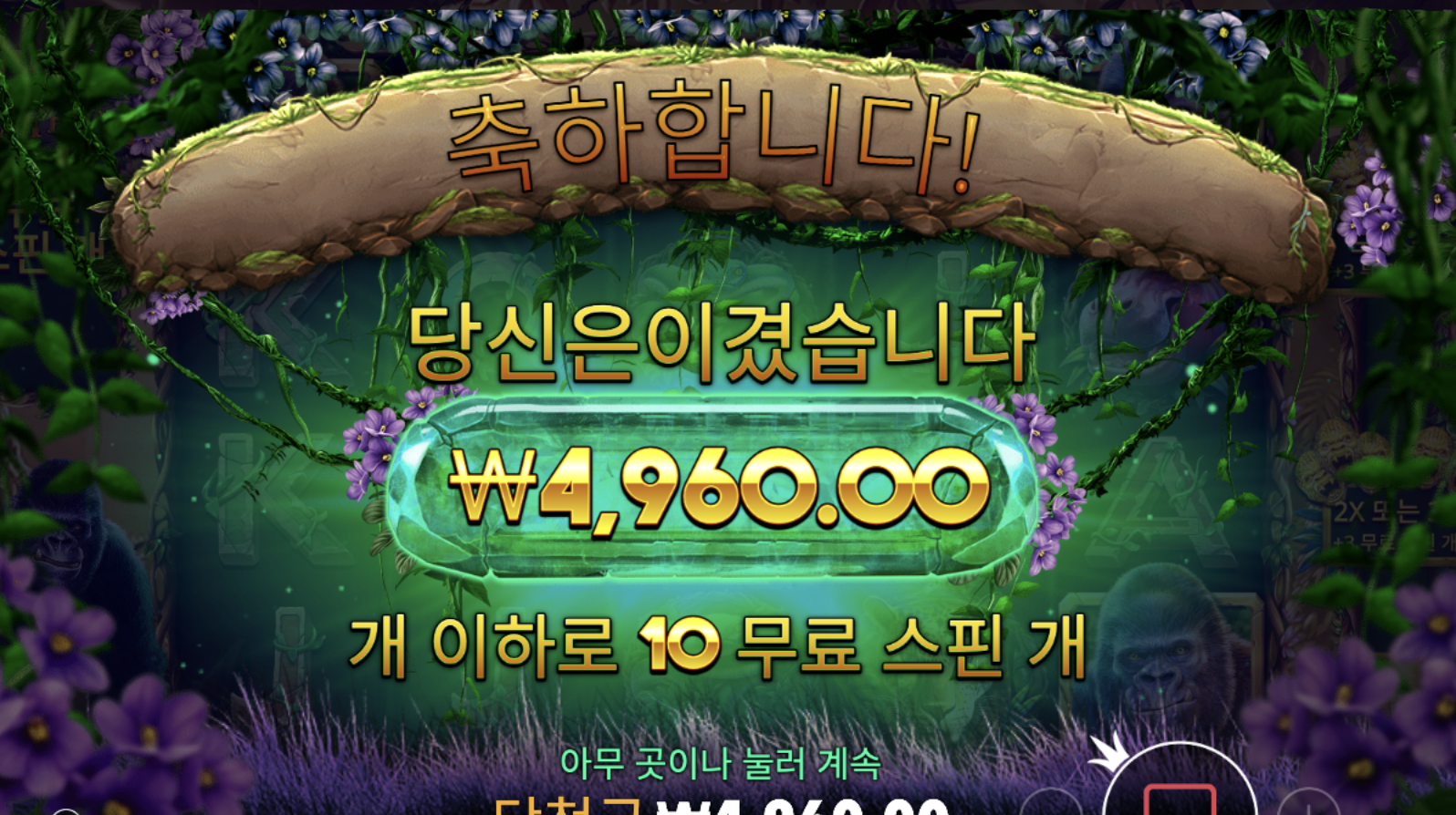 고릴라 제메이햄 ㅋㅋ