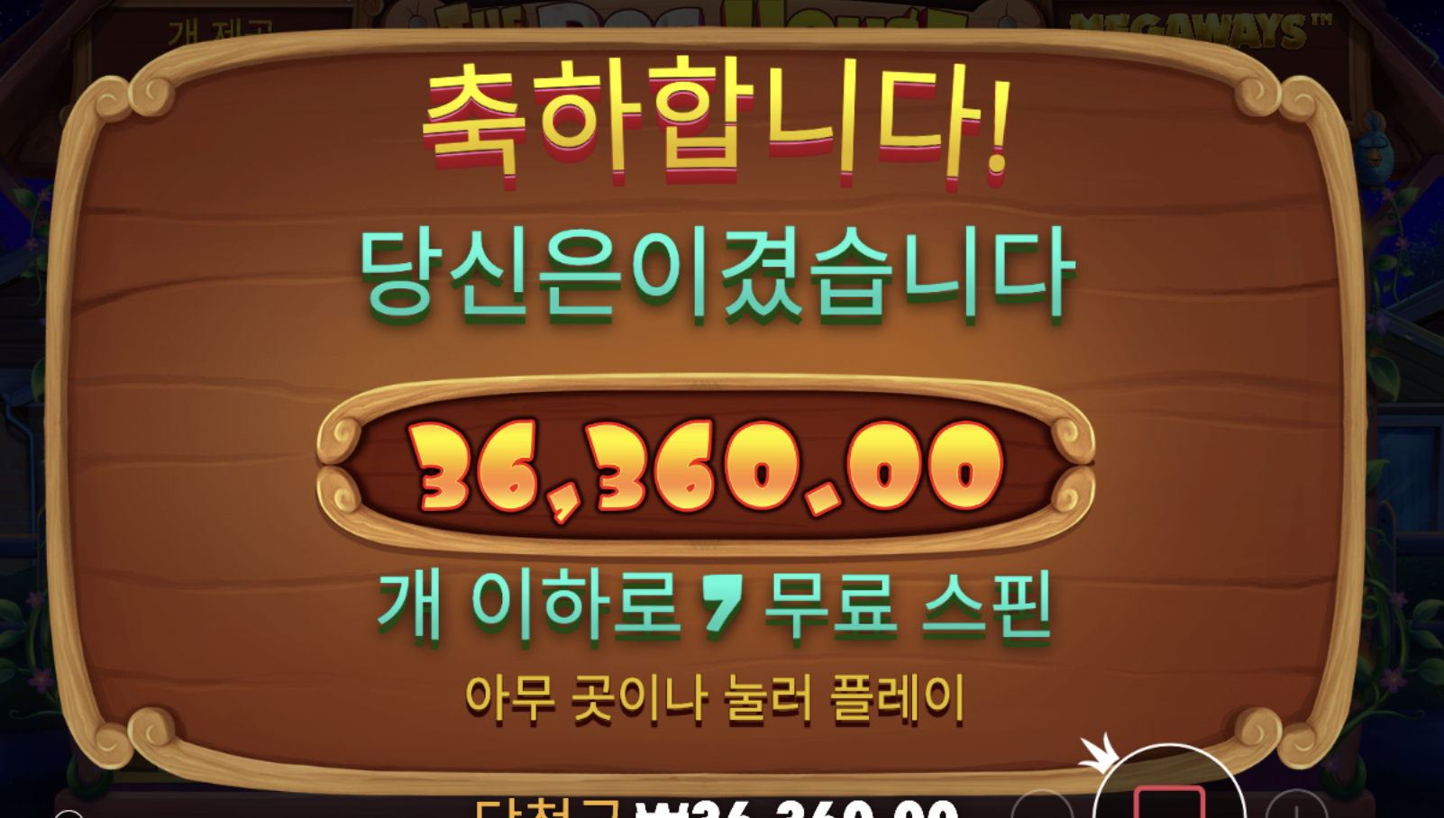 개집 스티키 vs 레이닝