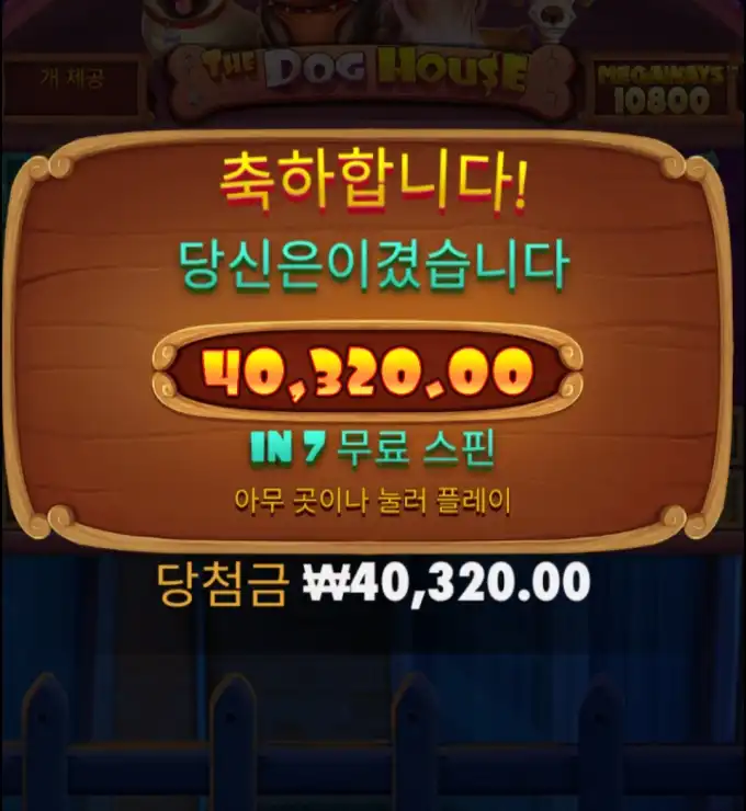 도그하우스 메가웨이즈 개집 빈집털이 달다