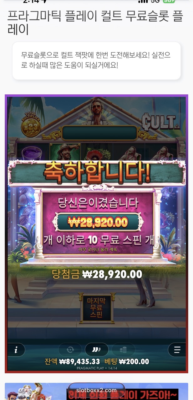 컬트 빡씨네잉