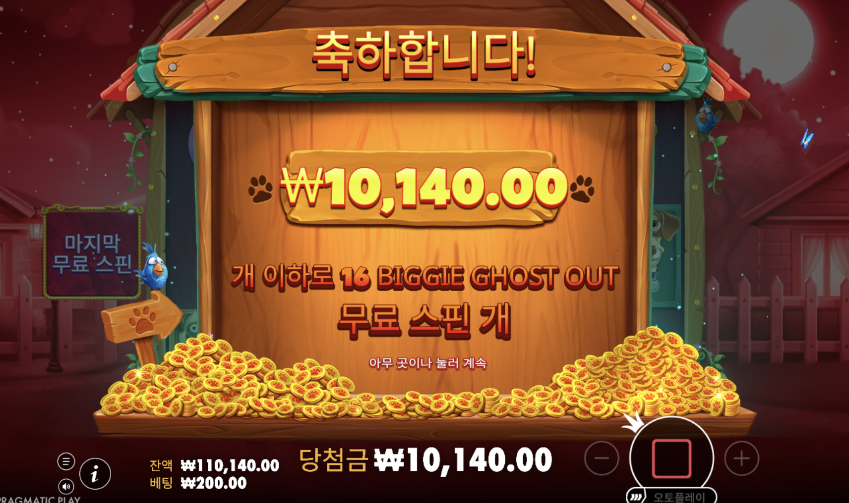 빅도그하우스 10만원 구매했는데 이건 좀 아쉽네