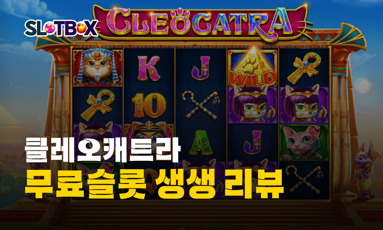 앙큼한 고양이의 반항 프라그마틱 "클레오 캐트라" 리뷰
