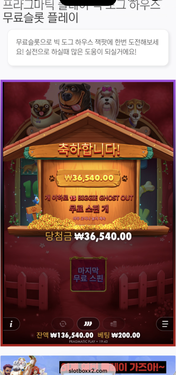 더빅도그 이거 은근 재밌네 ㅋㅋ 개집 신작 맛있다