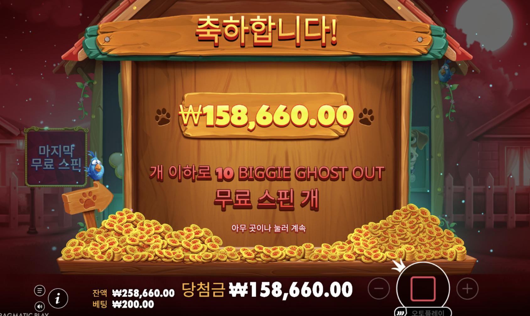 오랜만에 개집 신작 나왔네요