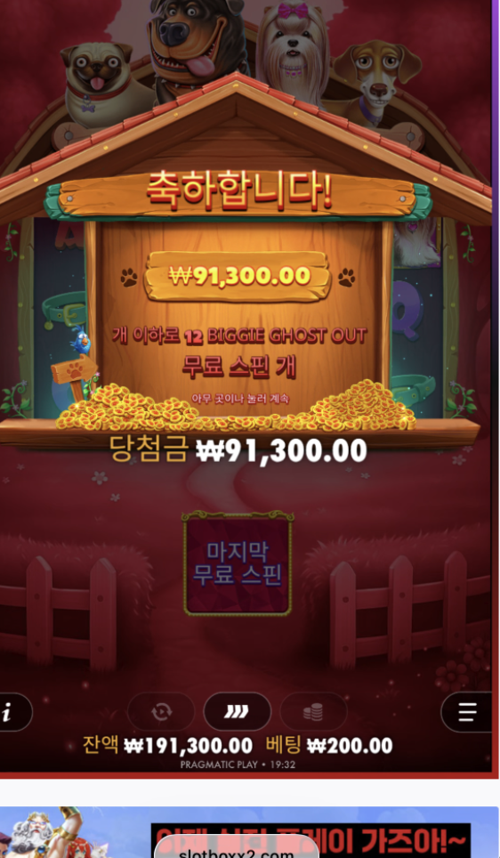 빅도그 하우스 슈가천보다 낫네 ㅋㅋ