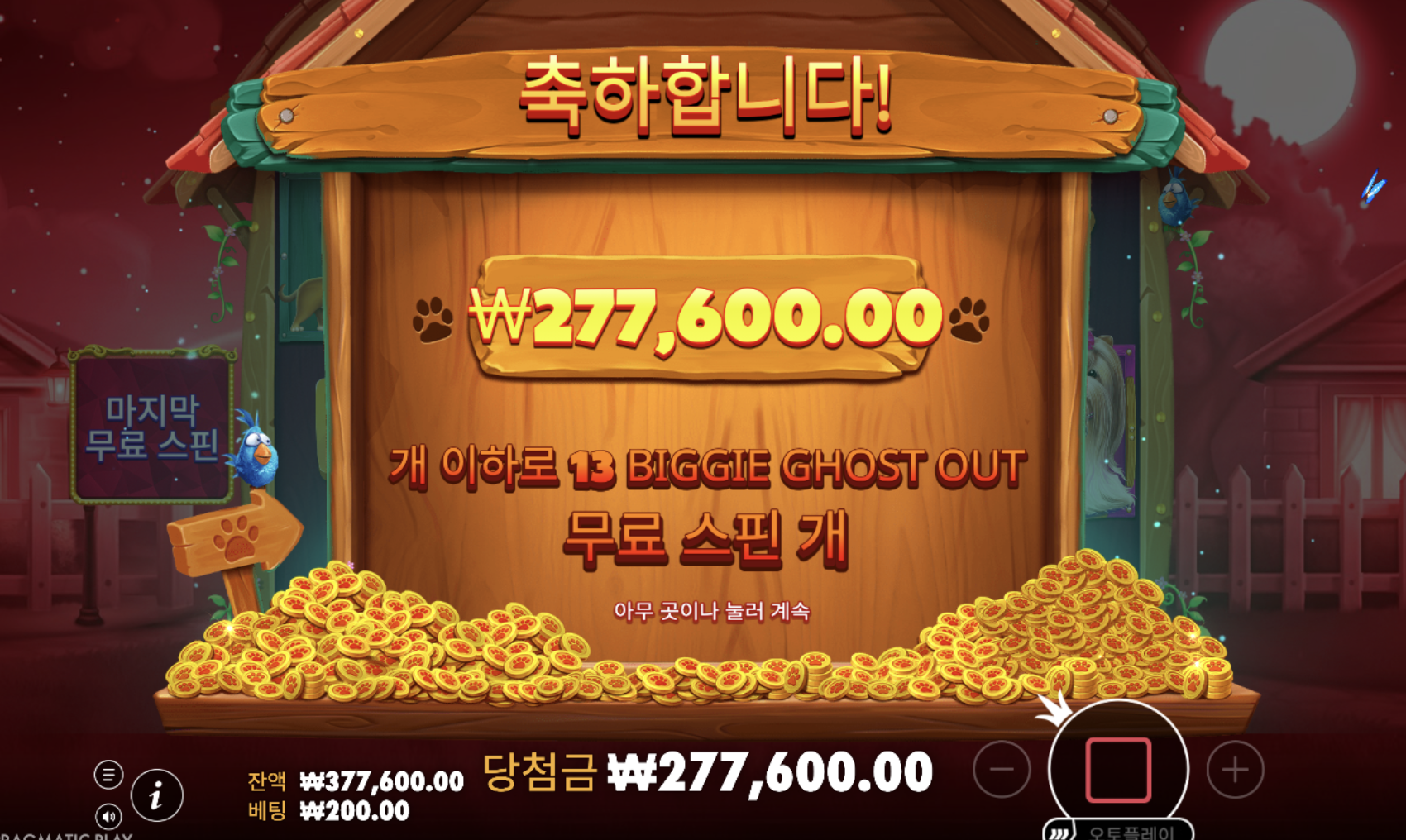 빅도그 또 터졌다 ㅋㅋ 슈가천보다 개집이 더 믿음직하네